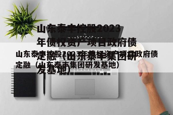 山东泰丰控股2023年债权资产项目政府债定融（山东泰丰集团研发基地）