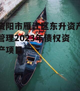 资阳市雁江区东升资产管理2023年债权资产项目