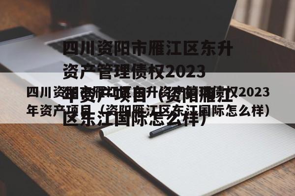 四川资阳市雁江区东升资产管理债权2023年资产项目（资阳雁江区东江国际怎么样）