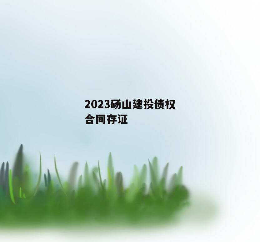 2023砀山建投债权合同存证