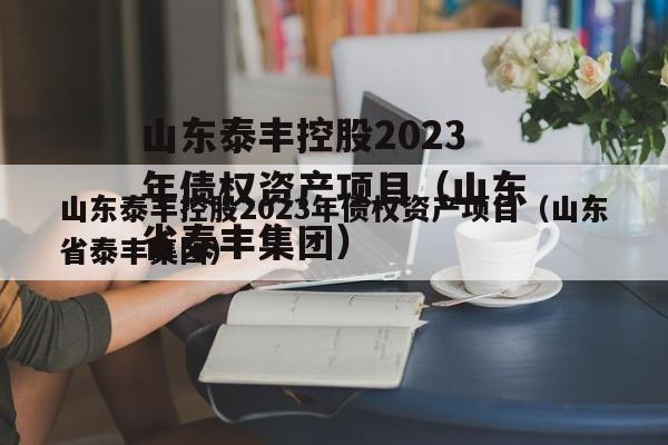 山东泰丰控股2023年债权资产项目（山东省泰丰集团）