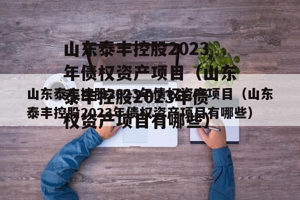 山东泰丰控股2023年债权资产项目（山东泰丰控股2023年债权资产项目有哪些）