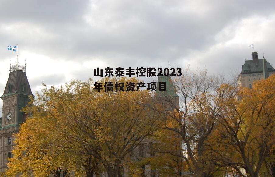 山东泰丰控股2023年债权资产项目