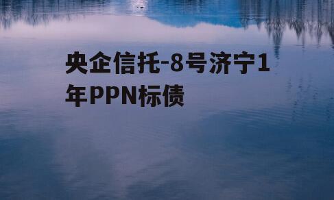 央企信托-8号济宁1年PPN标债