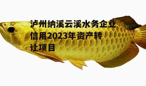 泸州纳溪云溪水务企业信用2023年资产转让项目