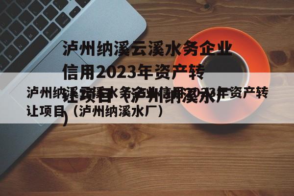 泸州纳溪云溪水务企业信用2023年资产转让项目（泸州纳溪水厂）