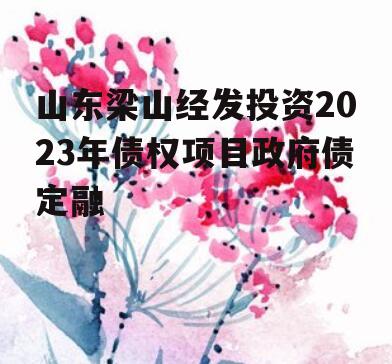 山东梁山经发投资2023年债权项目政府债定融