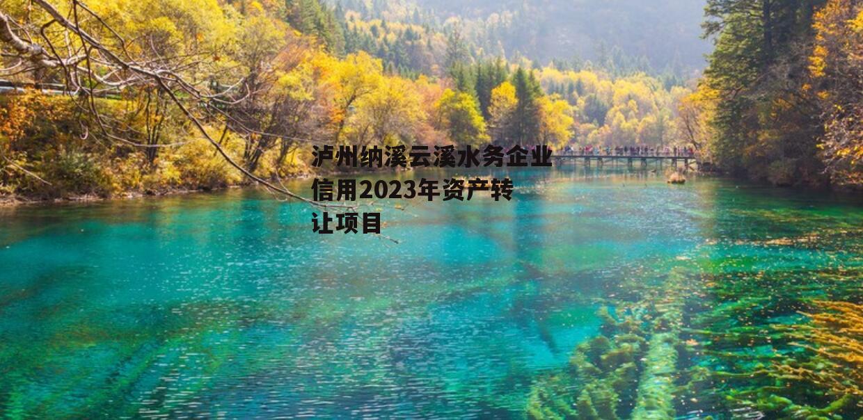 泸州纳溪云溪水务企业信用2023年资产转让项目