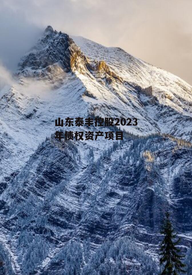 山东泰丰控股2023年债权资产项目