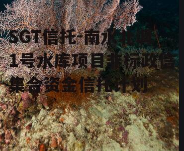 SGT信托-南水北调1号水库项目非标政信集合资金信托计划