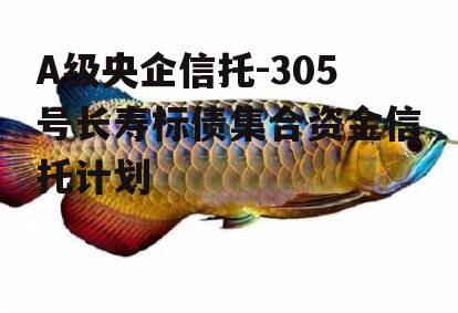 A级央企信托-305号长寿标债集合资金信托计划