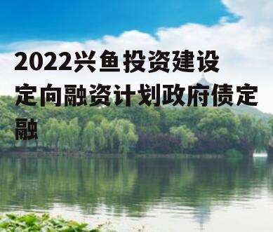 2022兴鱼投资建设定向融资计划政府债定融