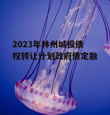 2023年林州城投债权转让计划政府债定融