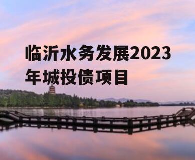 临沂水务发展2023年城投债项目