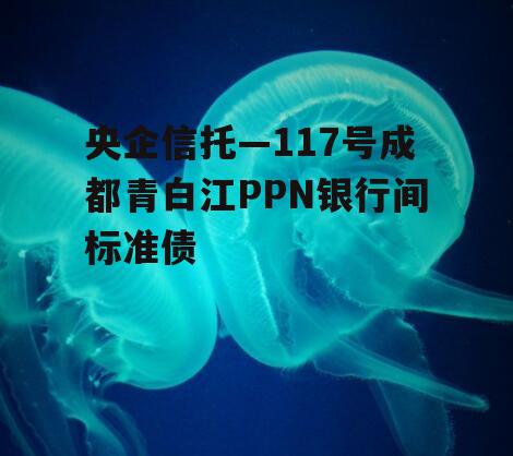 央企信托—117号成都青白江PPN银行间标准债