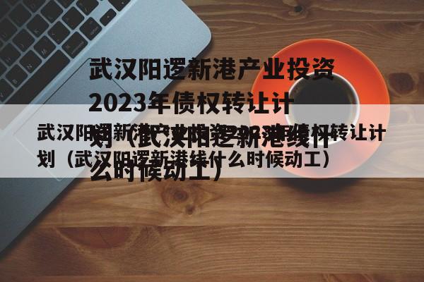 武汉阳逻新港产业投资2023年债权转让计划（武汉阳逻新港线什么时候动工）