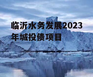 临沂水务发展2023年城投债项目