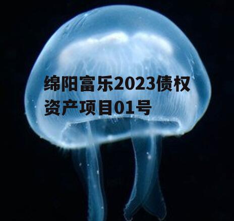 绵阳富乐2023债权资产项目01号