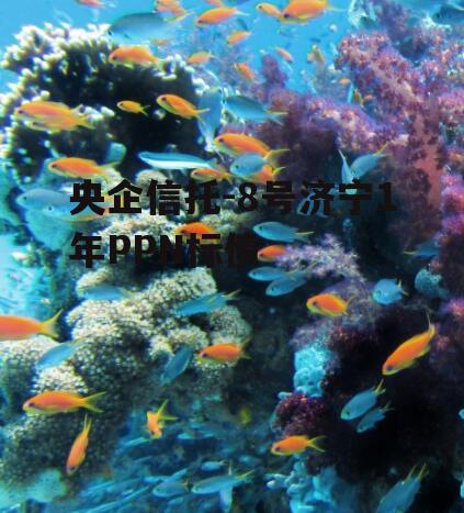 央企信托-8号济宁1年PPN标债