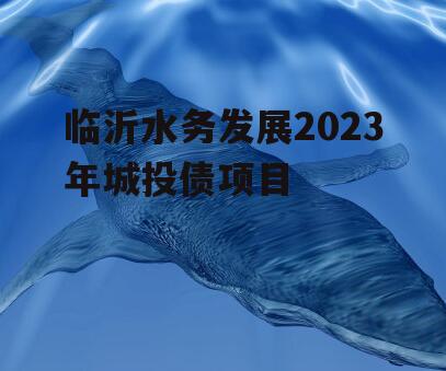 临沂水务发展2023年城投债项目