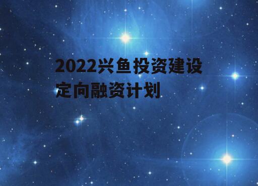 2022兴鱼投资建设定向融资计划