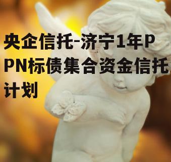 央企信托-济宁1年PPN标债集合资金信托计划