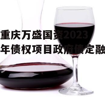 重庆万盛国资2023年债权项目政府债定融