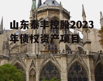 山东泰丰控股2023年债权资产项目