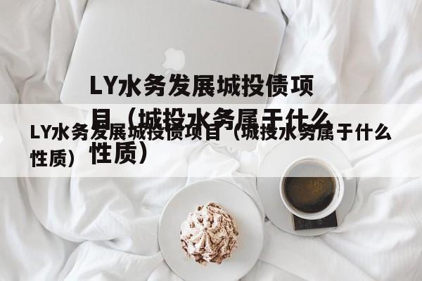 LY水务发展城投债项目（城投水务属于什么性质）