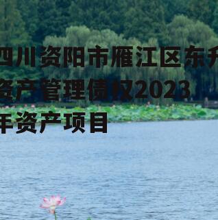 四川资阳市雁江区东升资产管理债权2023年资产项目