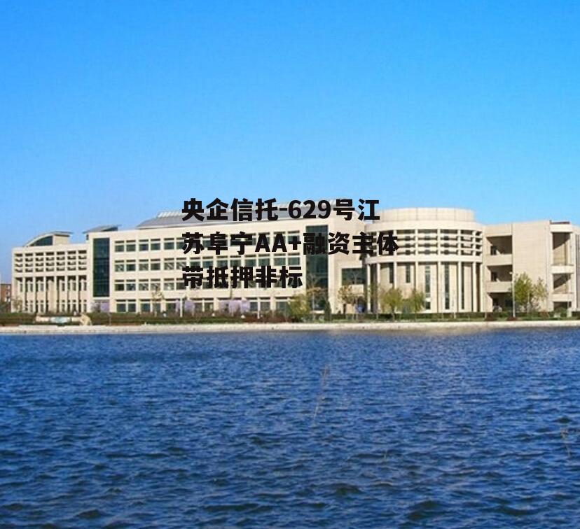 央企信托-629号江苏阜宁AA+融资主体带抵押非标