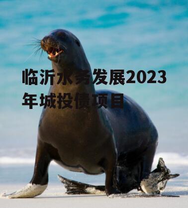 临沂水务发展2023年城投债项目