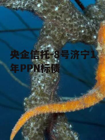 央企信托-8号济宁1年PPN标债