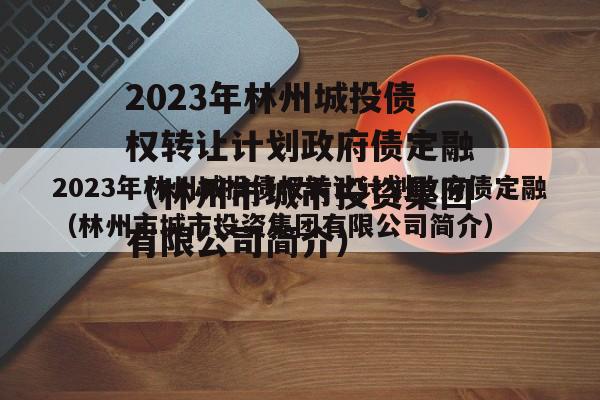 2023年林州城投债权转让计划政府债定融（林州市城市投资集团有限公司简介）