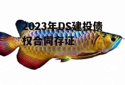 2023年DS建投债权合同存证