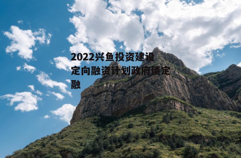 2022兴鱼投资建设定向融资计划政府债定融