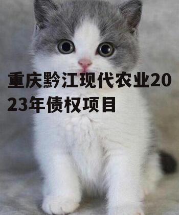 重庆黔江现代农业2023年债权项目