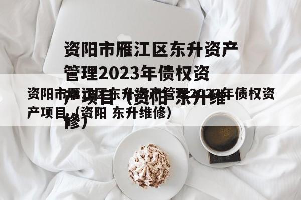 资阳市雁江区东升资产管理2023年债权资产项目（资阳 东升维修）