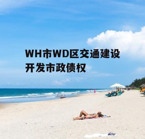 WH市WD区交通建设开发市政债权