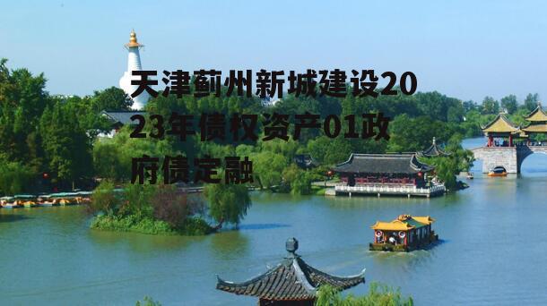 天津蓟州新城建设2023年债权资产01政府债定融