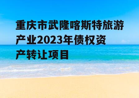 重庆市武隆喀斯特旅游产业2023年债权资产转让项目