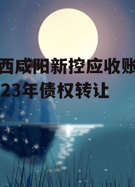 陕西咸阳新控应收账款2023年债权转让