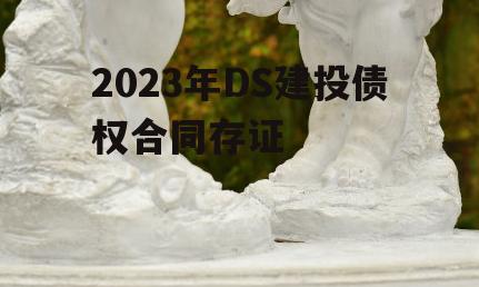 2023年DS建投债权合同存证