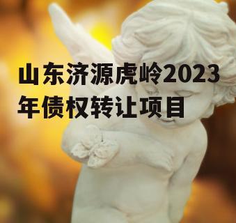 山东济源虎岭2023年债权转让项目