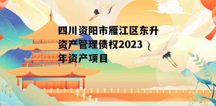 四川资阳市雁江区东升资产管理债权2023年资产项目