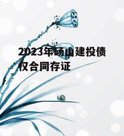 2023年砀山建投债权合同存证