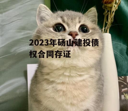 2023年砀山建投债权合同存证