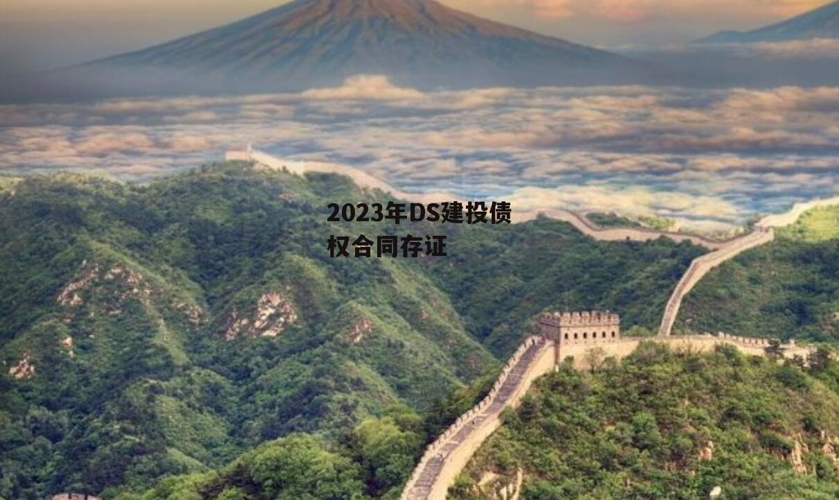 2023年DS建投债权合同存证