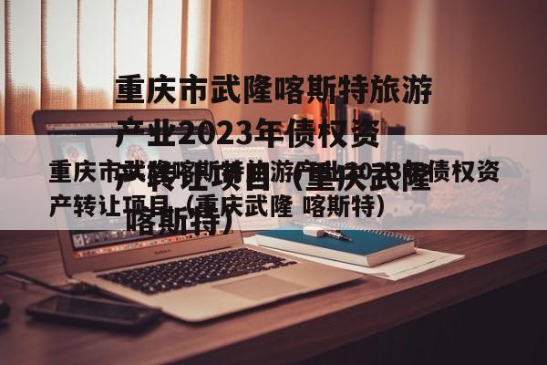 重庆市武隆喀斯特旅游产业2023年债权资产转让项目（重庆武隆 喀斯特）