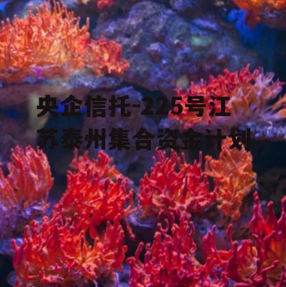 央企信托-225号江苏泰州集合资金计划